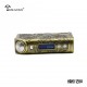 Steampunk NANO 120W Mod